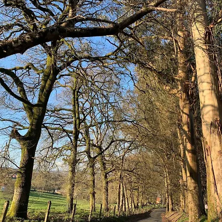 Casa Otilia - Rural - Camino De Santiago - Feriehus