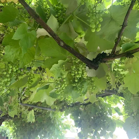 Casa Otilia - Rural - Camino De Santiago - Feriehus