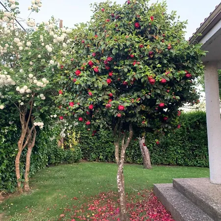 Casa Otilia - Rural - Camino De Santiago - Feriehus Arzúa