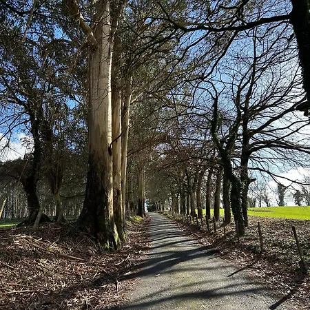 Casa Otilia - Rural - Camino De Santiago - Arzúa