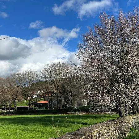 Casa Otilia - Rural - Camino De Santiago -
