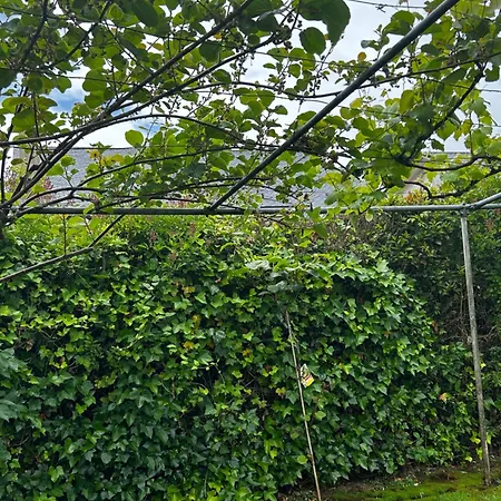 Сasa de vacaciones Casa Otilia - Rural - Camino De Santiago - Arzúa