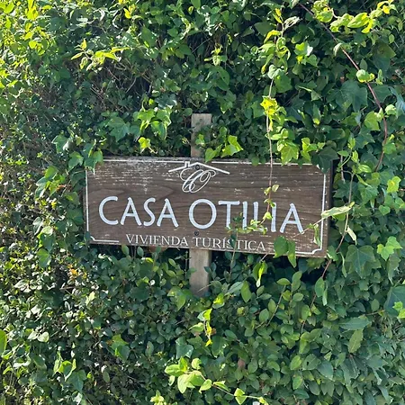 Casa Otilia - Rural - Camino De Santiago - Сasa de vacaciones Arzúa
