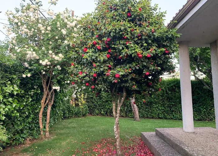 Casa Otilia - Rural - Camino De Santiago - Casa de Férias Arzúa