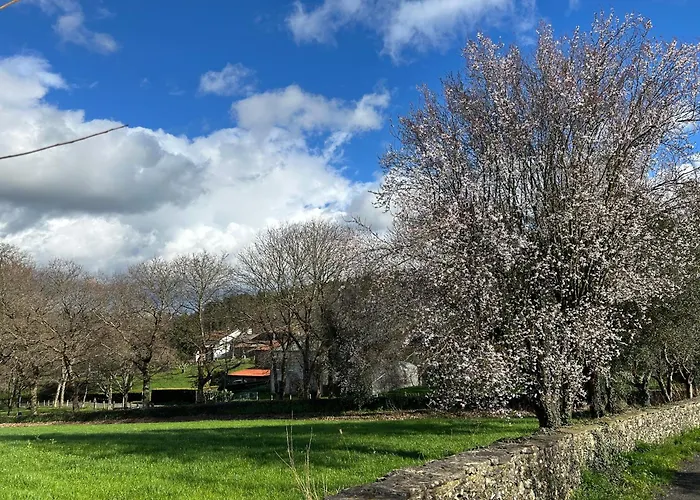 Casa Otilia - Rural - Camino De Santiago -